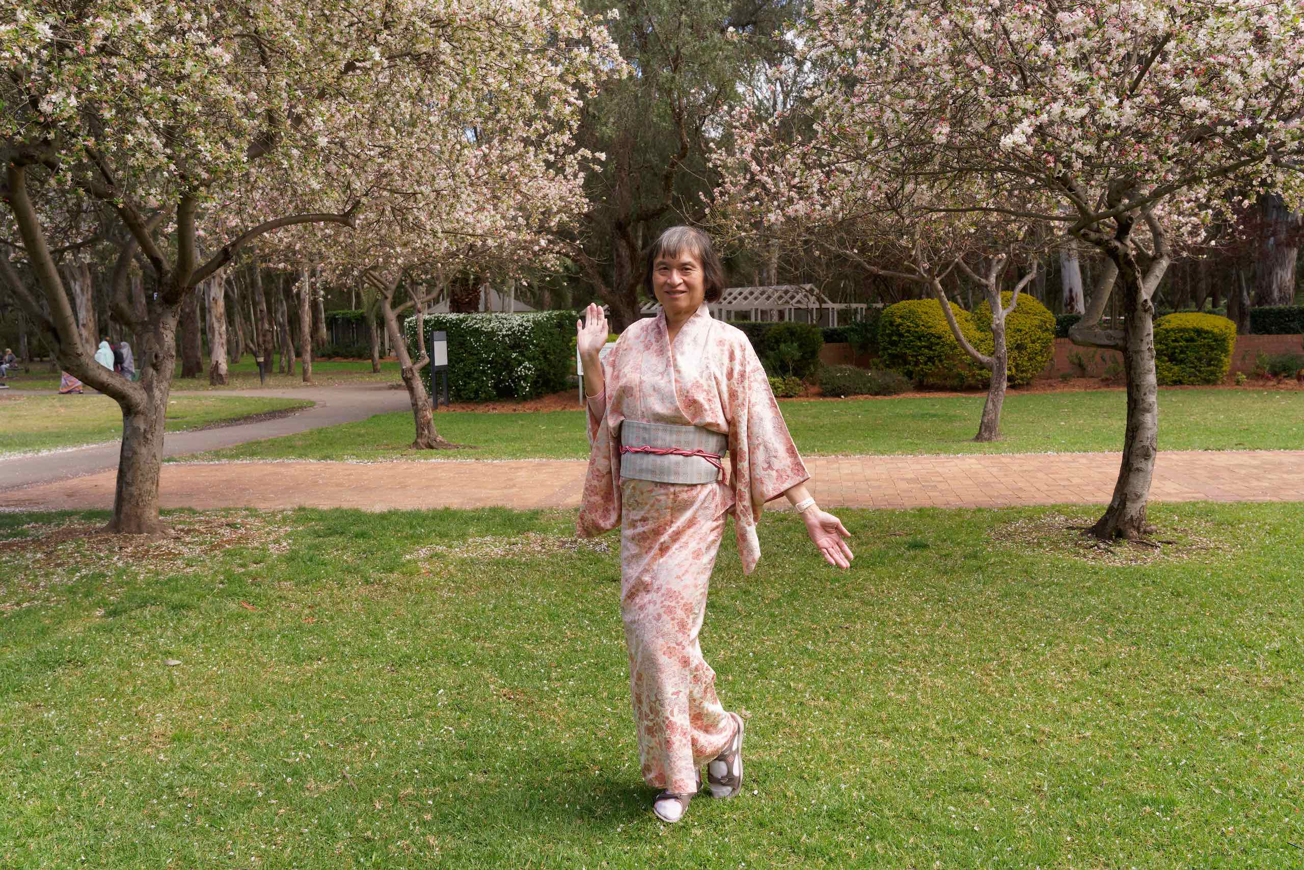 Spring blossom at Nurragingy Reserve featured image